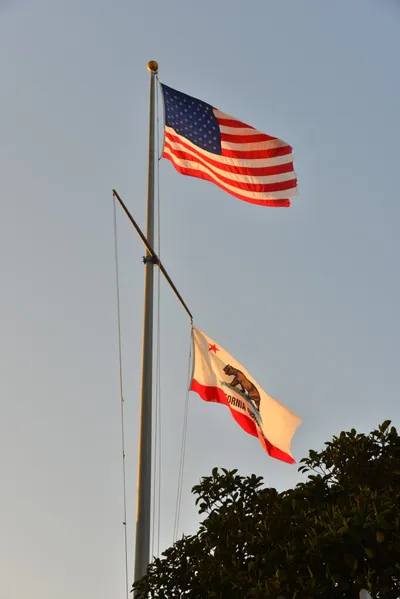 DSC_7300 (Large).JPG